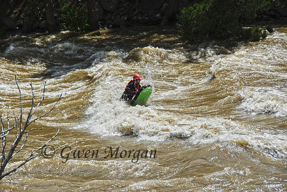 Boogie Boarder in Yankee Jim Canyon