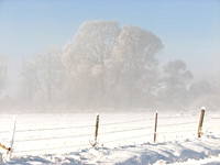Landscapes dl