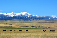 Landscapes dl