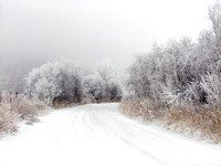 Landscapes dl