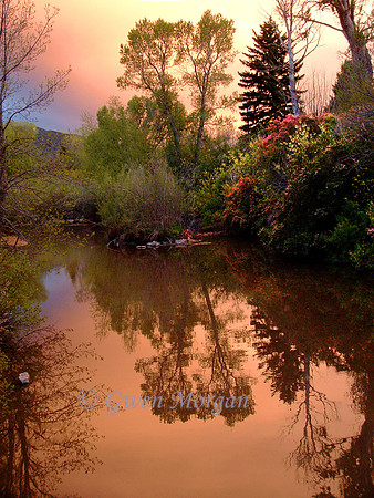 Livingston Park Sunset