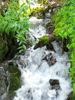 Landscapes dl