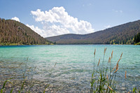 Landscapes dl