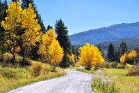 Landscapes dl