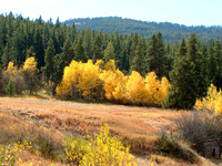 Landscapes dl