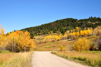 Landscapes dl