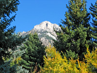 Landscapes dl