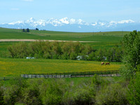 Landscapes dl