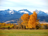 Landscapes dl