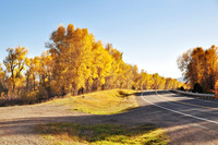 Landscapes dl