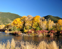 Landscapes dl