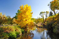 Landscapes dl