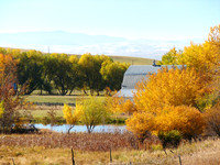 Landscapes dl